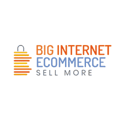 Big Internet Seller Services Inc logo